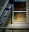 Animation Backgrounds